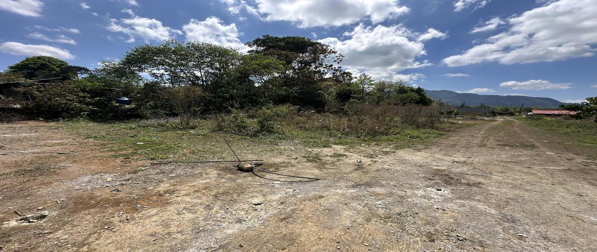Foto de terreno habitacional en venta en  , xicotepec de juárez centro, xicotepec, puebla, 0 No. 04