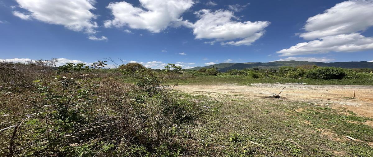 Foto de terreno habitacional en venta en  , xicotepec de juárez centro, xicotepec, puebla, 0 No. 05