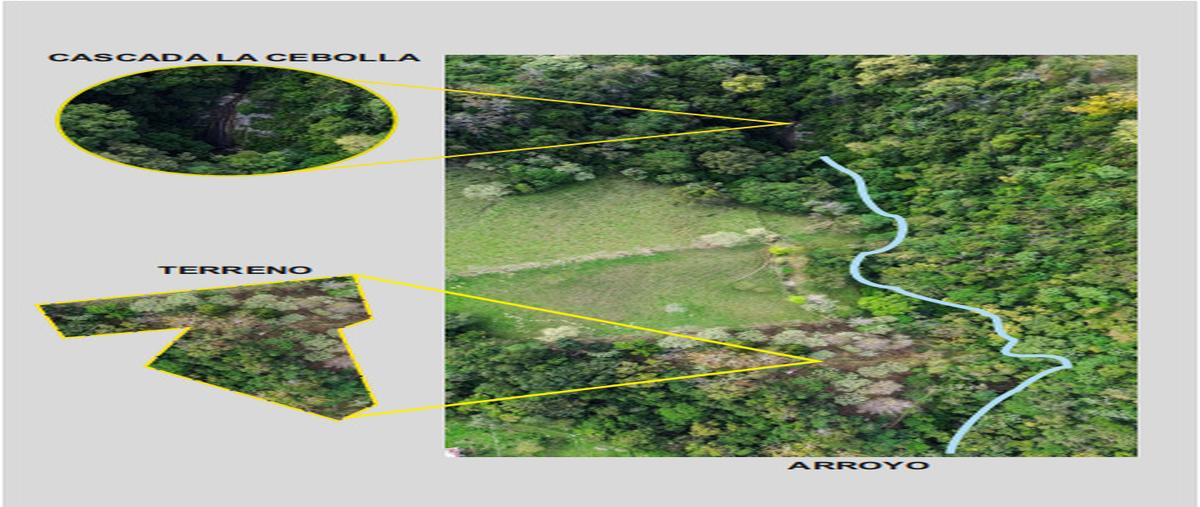 Foto de terreno habitacional en venta en  , xilitla, xilitla, san luis potosí, 0 No. 03