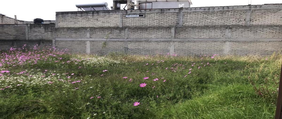 Foto de terreno habitacional en venta en xinantecatl , el seminario 4a sección, toluca, méxico, 25672229 No. 04