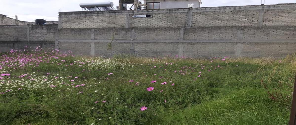 Foto de terreno habitacional en venta en xinantecatl , el seminario 4a sección, toluca, méxico, 25672229 No. 05