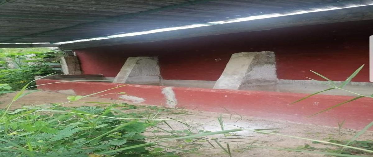 Foto de rancho en venta en  , xmatkuil, mérida, yucatán, 25286277 No. 05