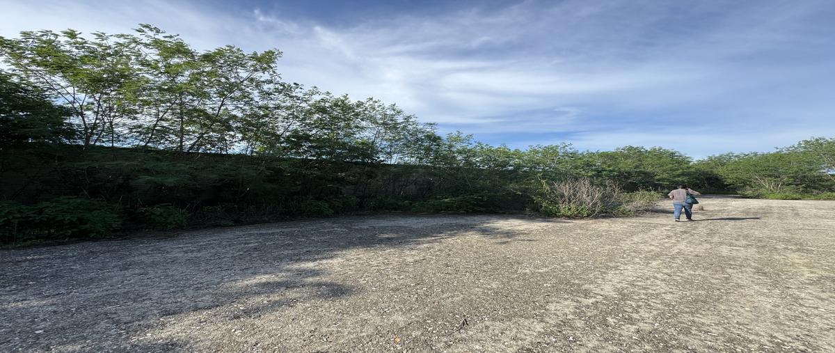 Foto de terreno industrial en venta en  , xmatkuil, mérida, yucatán, 30266043 No. 04