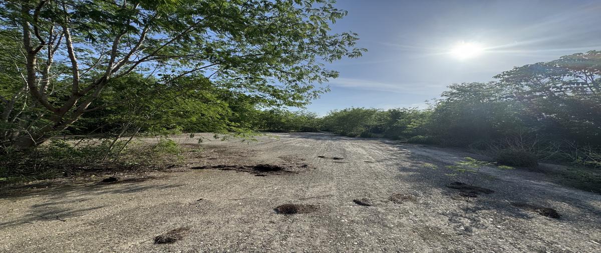 Foto de terreno industrial en venta en  , xmatkuil, mérida, yucatán, 30266043 No. 05
