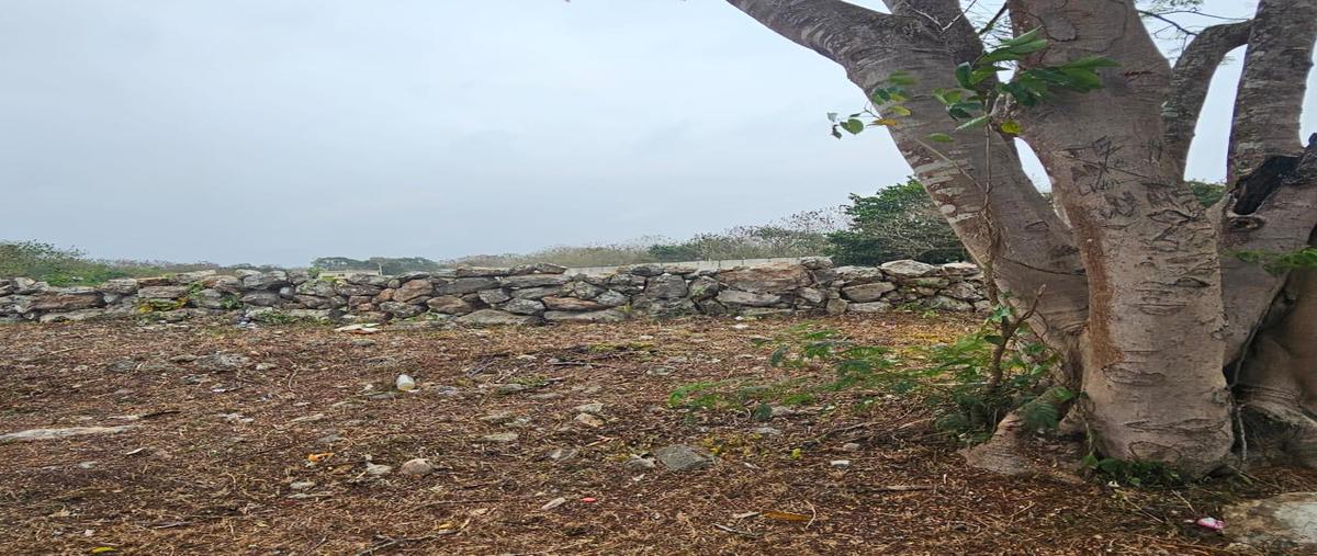 Foto de terreno habitacional en venta en  , xmatkuil, mérida, yucatán, 0 No. 04