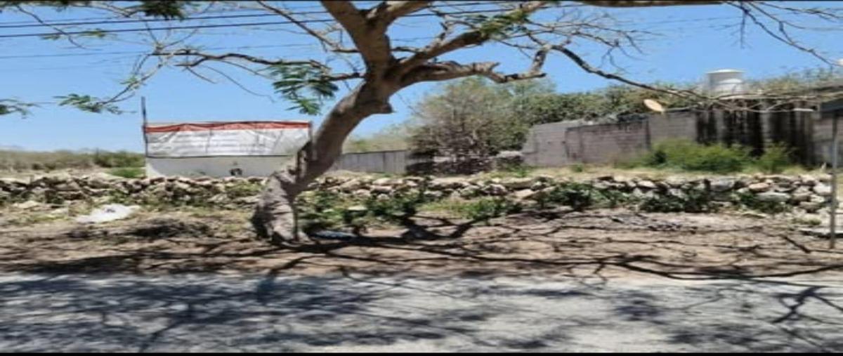Foto de terreno habitacional en venta en  , xmatkuil, mérida, yucatán, 0 No. 05