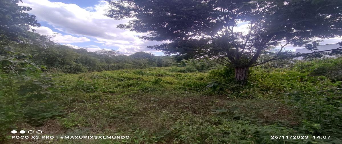 Foto de terreno habitacional en venta en xmatkuil whi303113, xmatkuil, mérida, yucatán, 0 No. 03