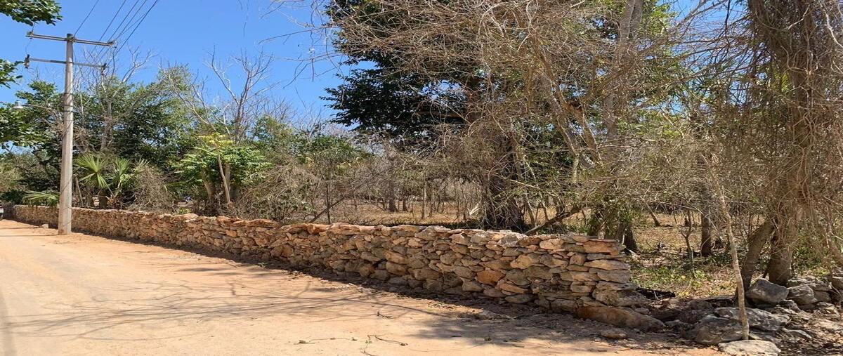 Foto de terreno habitacional en venta en  , xocchel, xocchel, yucatán, 0 No. 04