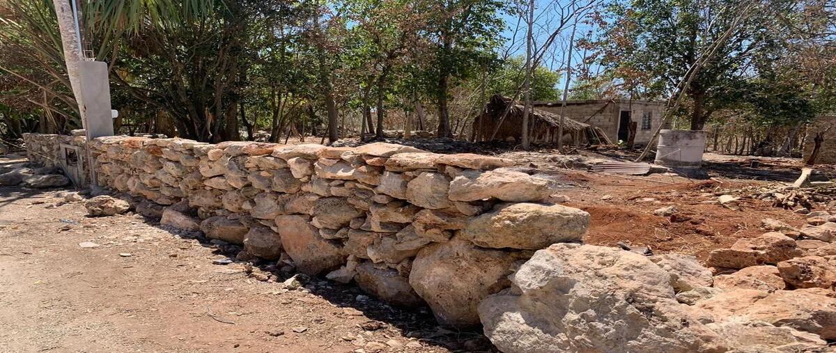 Foto de terreno habitacional en venta en  , xocchel, xocchel, yucatán, 0 No. 05