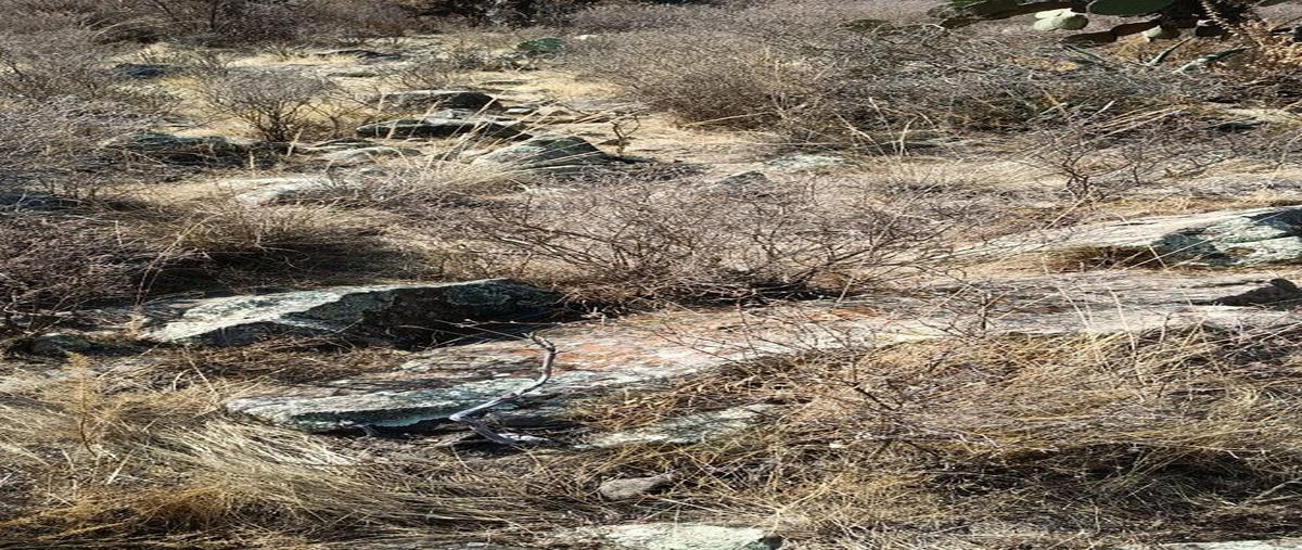 Foto de terreno habitacional en venta en  , xochihuacán, epazoyucan, hidalgo, 30926607 No. 05