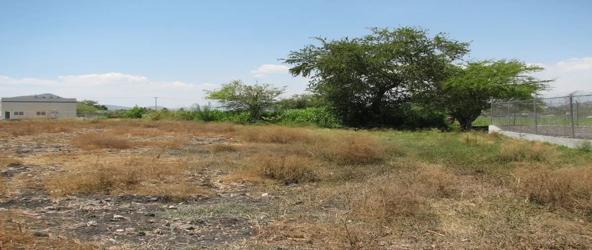 Foto de terreno comercial en venta en xochitepec 5, xochitepec centro, xochitepec, morelos, 0 No. 03