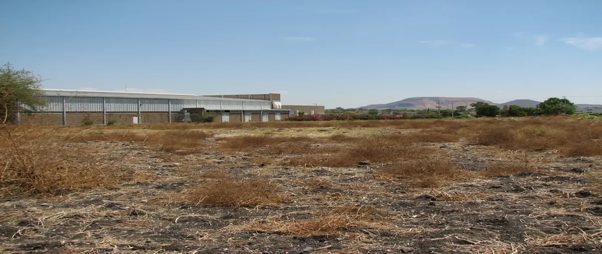 Foto de terreno comercial en venta en xochitepec 5, xochitepec centro, xochitepec, morelos, 0 No. 04