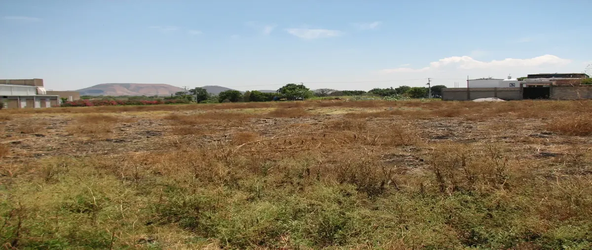 Foto de terreno comercial en venta en xochitepec 5, xochitepec centro, xochitepec, morelos, 0 No. 05