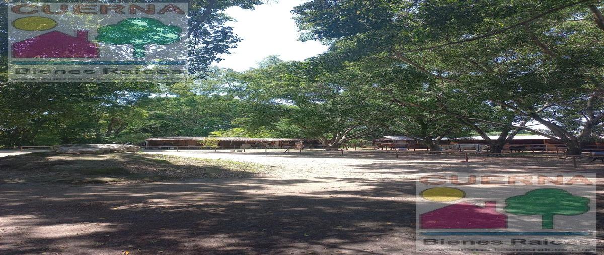 Foto de terreno habitacional en venta en  , xochitepec centro, xochitepec, morelos, 0 No. 05