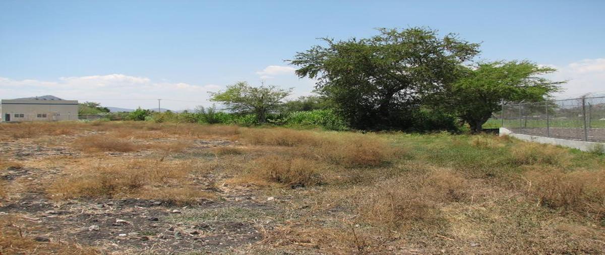 Foto de terreno comercial en renta en  , xochitepec centro, xochitepec, morelos, 30132434 No. 02
