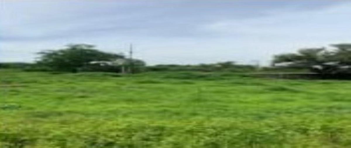 Foto de terreno habitacional en venta en  , xochitepec centro, xochitepec, morelos, 30224447 No. 03