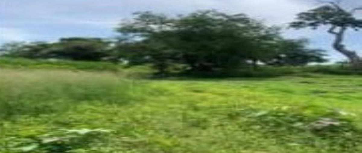 Foto de terreno habitacional en venta en  , xochitepec centro, xochitepec, morelos, 30224447 No. 04