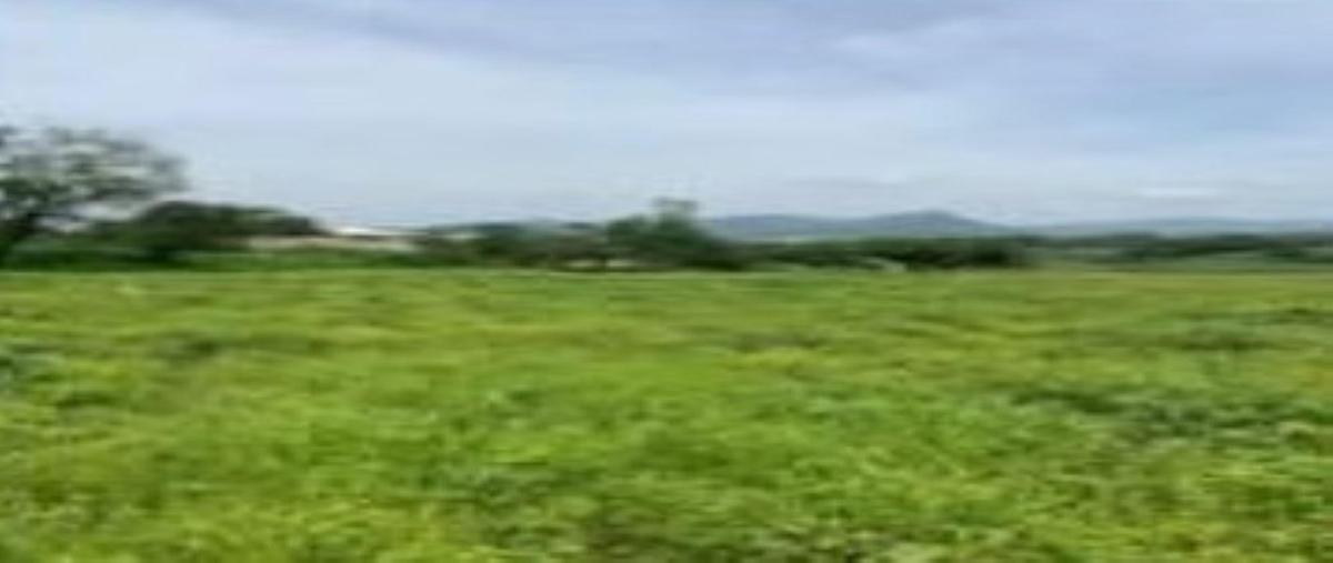 Foto de terreno habitacional en venta en  , xochitepec centro, xochitepec, morelos, 30224447 No. 05