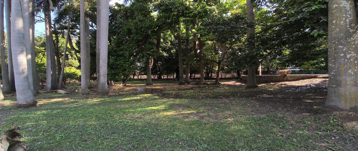 Foto de terreno habitacional en venta en  , xochitepec centro, xochitepec, morelos, 0 No. 03