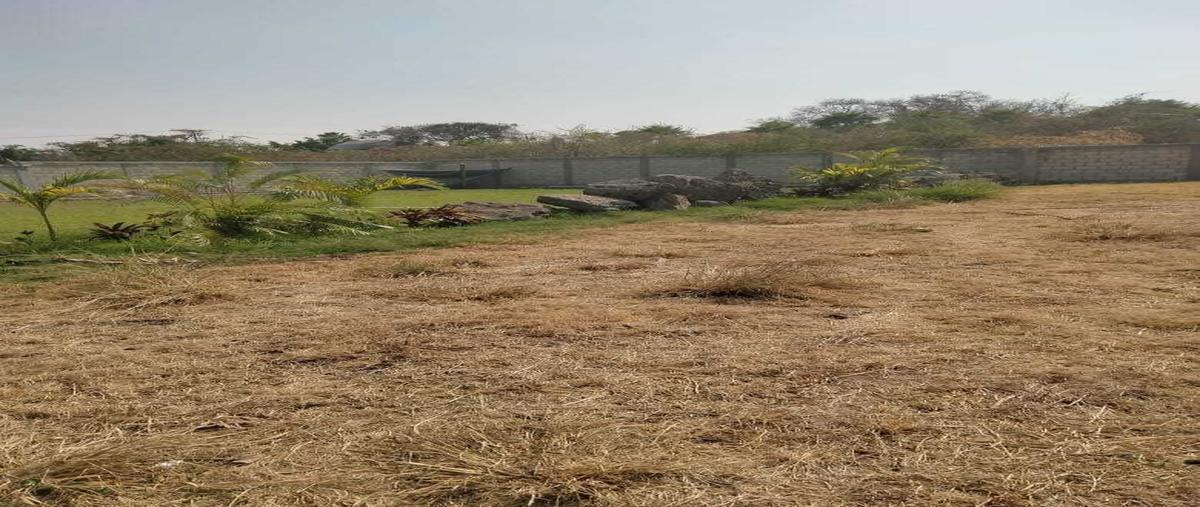 Foto de terreno comercial en venta en xochitepec , jardines de xochitepec, xochitepec, morelos, 0 No. 04