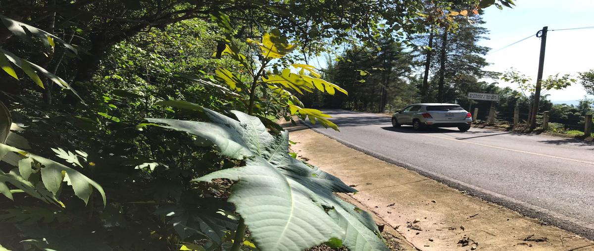 Foto de terreno habitacional en , xocoyolo, cuetzalan del progreso, puebla, 0 foto 03 Foto de terreno habitacional en venta en , xocoyolo, cuetzalan del progreso, puebla, 0 No. 03