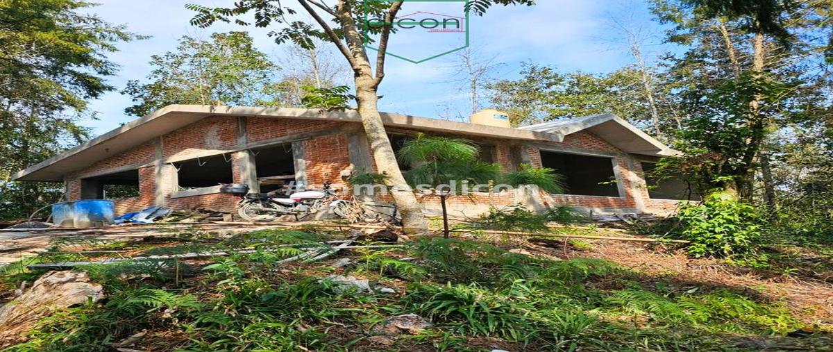 Foto de casa en venta en  , xocoyolo, cuetzalan del progreso, puebla, 0 No. 03