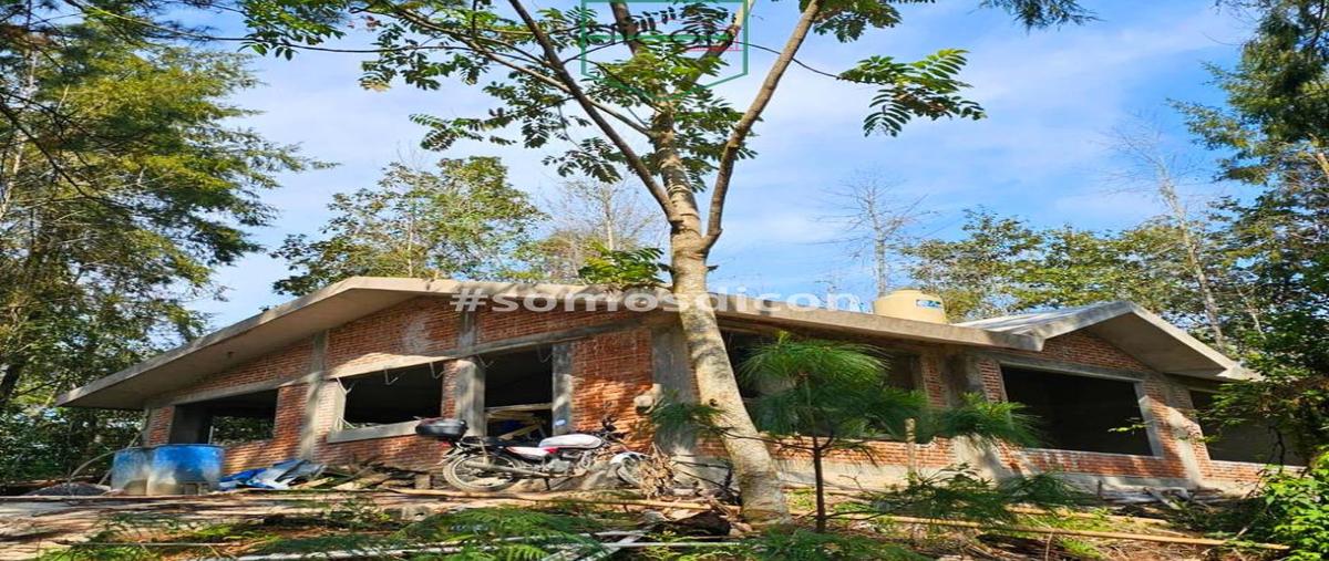 Foto de casa en venta en  , xocoyolo, cuetzalan del progreso, puebla, 0 No. 04