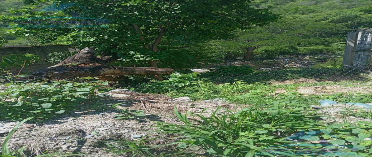 Foto de terreno habitacional en venta en  , xolapa, acapulco de juárez, guerrero, 0 No. 03