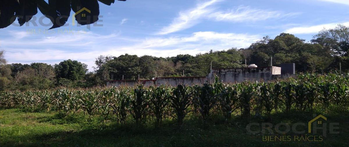Foto de terreno habitacional en venta en  , xoloxtla, xalapa, veracruz de ignacio de la llave, 0 No. 03