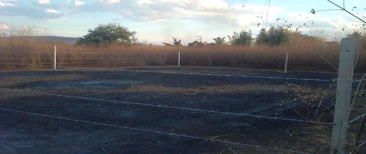 Foto de terreno habitacional en venta en  , xoxocotla, puente de ixtla, morelos, 0 No. 03