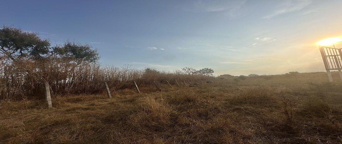 Foto de terreno habitacional en venta en  , xoxocotla, puente de ixtla, morelos, 30932649 No. 05