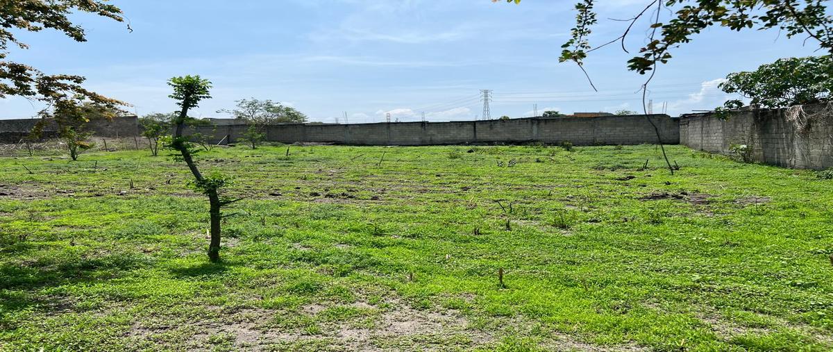 Foto de terreno habitacional en venta en xoxocotla , xoxocotla, puente de ixtla, morelos, 29975091 No. 03