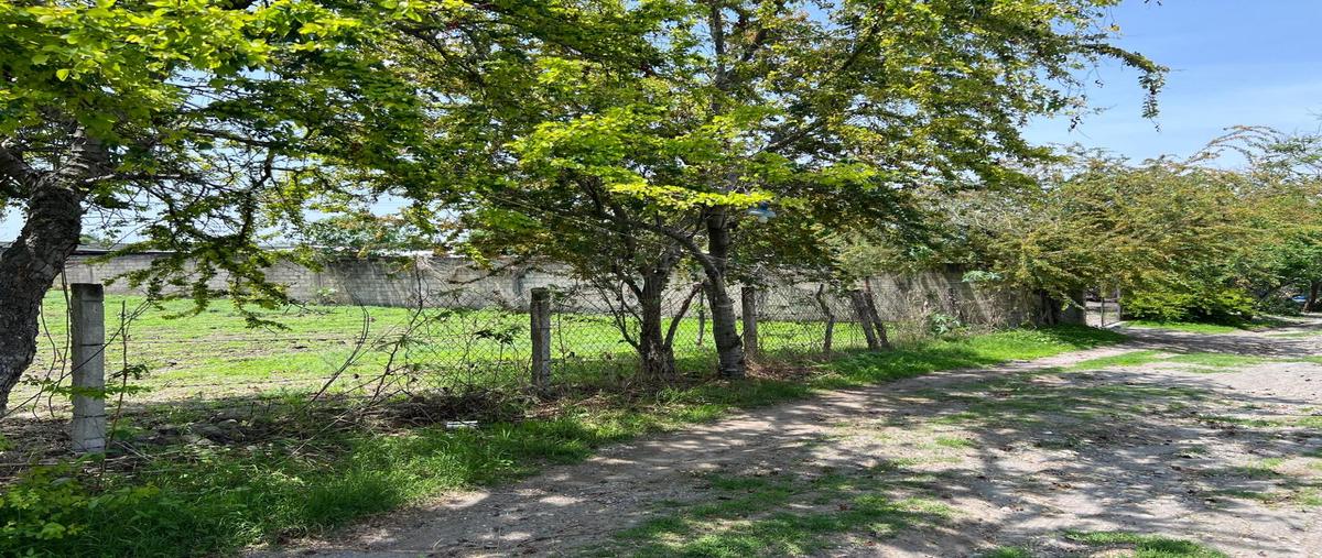 Foto de terreno habitacional en venta en xoxocotla , xoxocotla, puente de ixtla, morelos, 29975091 No. 05