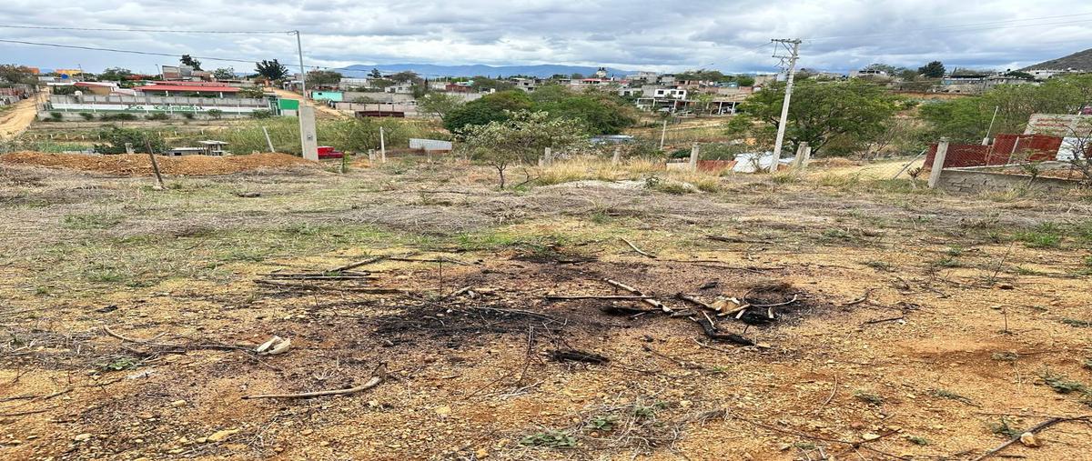 Foto de terreno habitacional en , xoxocotlan, santa cruz xoxocotlán, oaxaca, 0 foto 05 Foto de terreno habitacional en venta en , xoxocotlan, santa cruz xoxocotlán, oaxaca, 0 No. 05