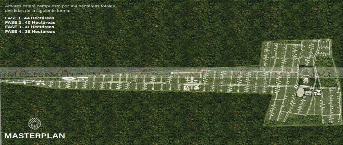 Foto de terreno habitacional en venta en  , xpu ha, solidaridad, quintana roo, 26961548 No. 04