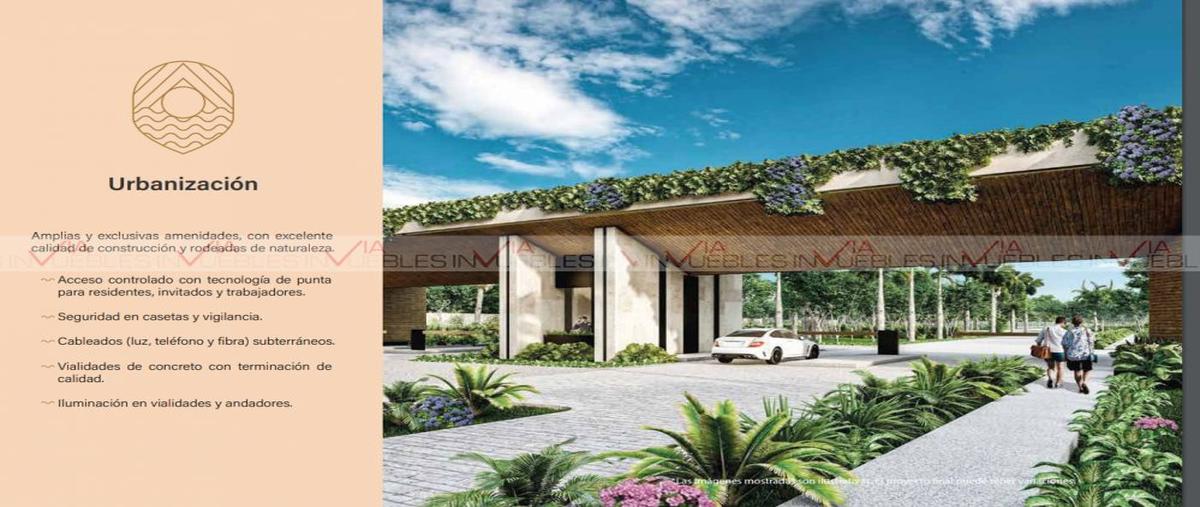 Foto de terreno habitacional en venta en  , xpu ha, solidaridad, quintana roo, 26961548 No. 05