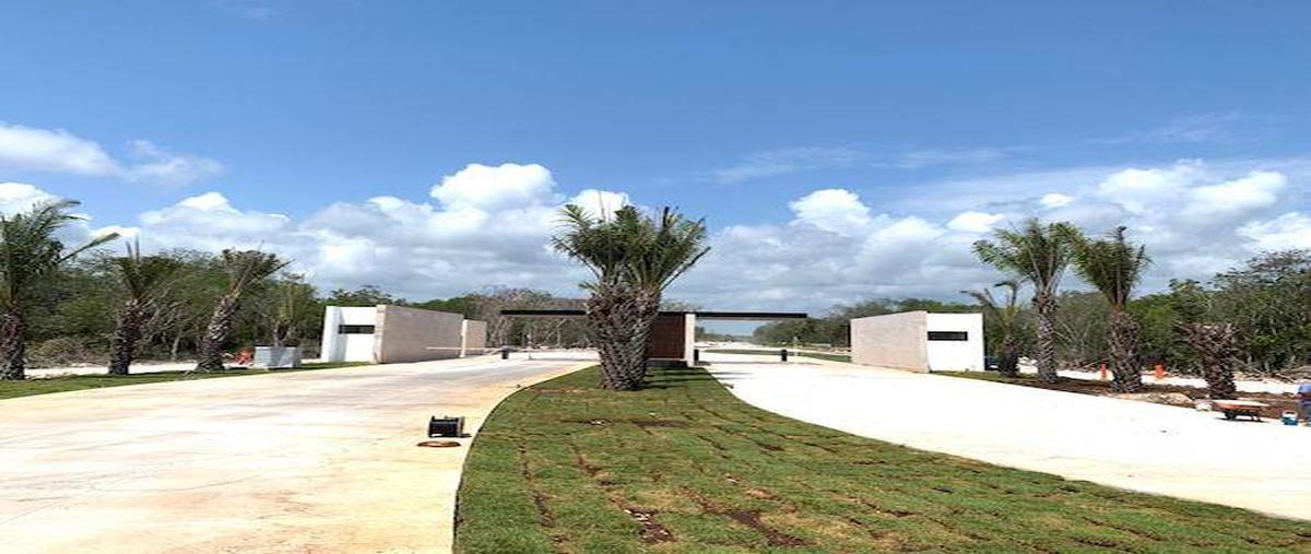 Foto de terreno habitacional en venta en  , xpu ha, solidaridad, quintana roo, 27301561 No. 05