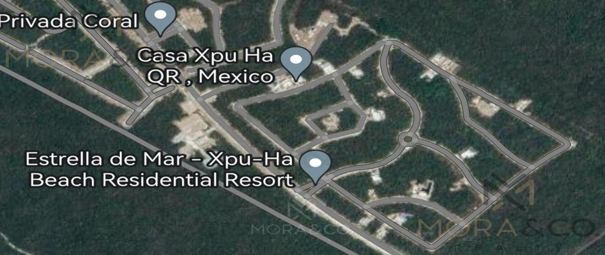 Foto de terreno habitacional en , xpu ha, solidaridad, quintana roo, 28818633 foto 04 Foto de terreno habitacional en venta en , xpu ha, solidaridad, quintana roo, 28818633 No. 04