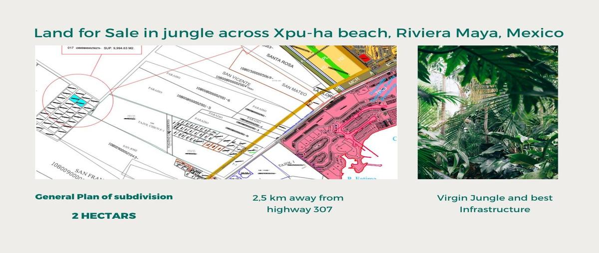 Foto de terreno habitacional en , xpu ha, solidaridad, quintana roo, 0 foto 01 Foto de terreno habitacional en venta en , xpu ha, solidaridad, quintana roo, 0 No. 01