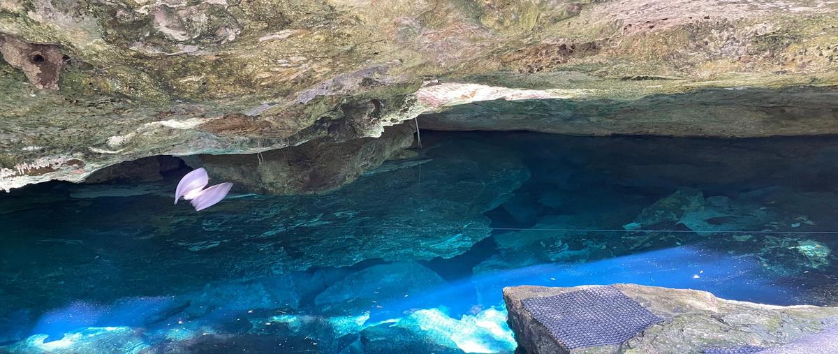 Foto de terreno habitacional en , xpu ha, solidaridad, quintana roo, 0 foto 04 Foto de terreno habitacional en venta en , xpu ha, solidaridad, quintana roo, 0 No. 04