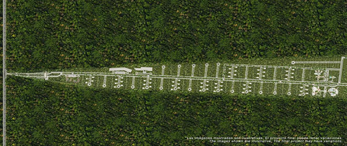 Foto de terreno habitacional en , xpu ha, solidaridad, quintana roo, 0 foto 02 Foto de terreno habitacional en venta en , xpu ha, solidaridad, quintana roo, 0 No. 02