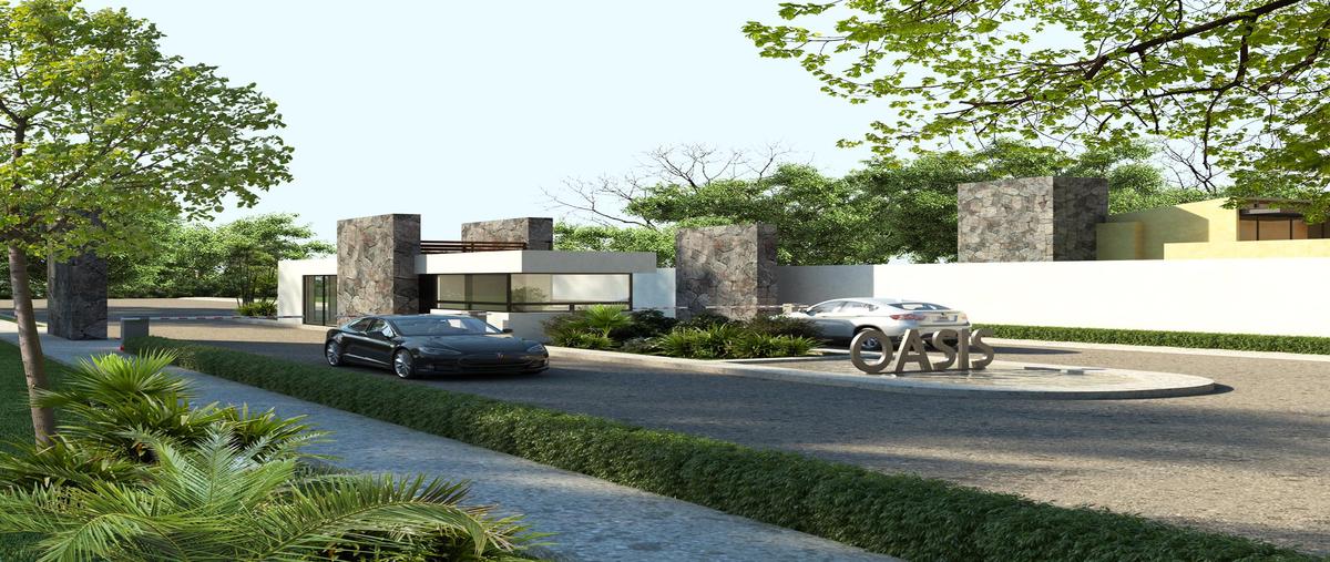 Foto de terreno habitacional en , xpu ha, solidaridad, quintana roo, 31513941 foto 04 Foto de terreno habitacional en venta en , xpu ha, solidaridad, quintana roo, 31513941 No. 04
