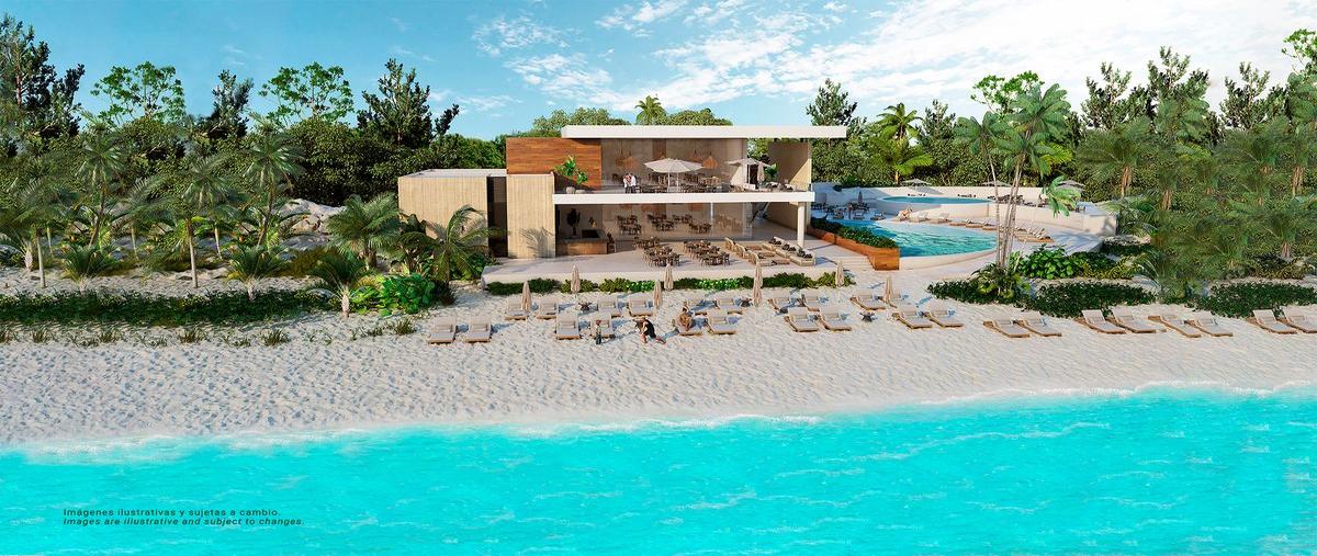 Foto de terreno habitacional en venta en xpu-ha , xpu ha, solidaridad, quintana roo, 29387834 No. 03