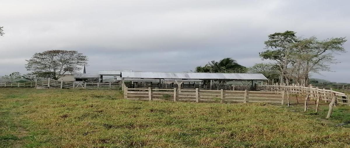 Foto de rancho en venta en  , xpujil, calakmul, campeche, 15740993 No. 04