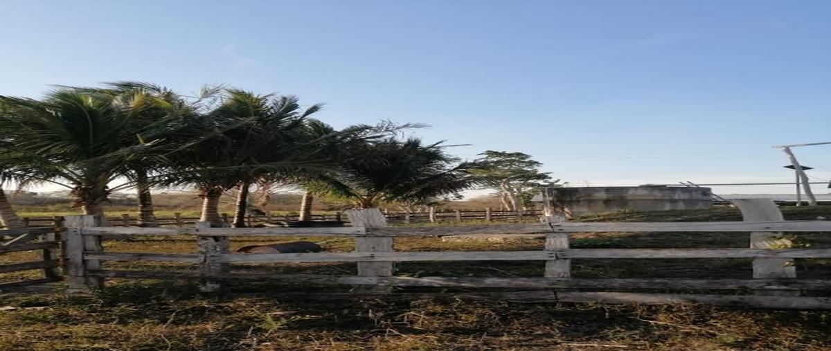 Foto de rancho en venta en  , xpujil, calakmul, campeche, 0 No. 09