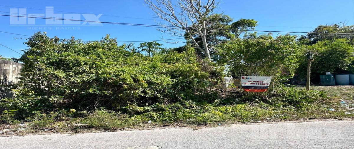 Foto de terreno habitacional en , xpujil, calakmul, campeche, 0 foto 01 Foto de terreno habitacional en venta en , xpujil, calakmul, campeche, 0 No. 01