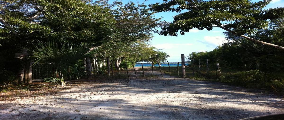 Foto de terreno habitacional en , xtomoc uno, bacalar, quintana roo, 0 foto 01 Foto de terreno habitacional en venta en , xtomoc uno, bacalar, quintana roo, 0 No. 01