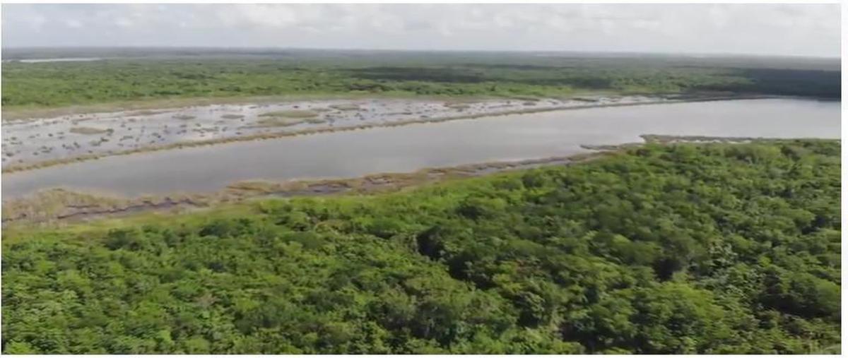 Foto de terreno habitacional en venta en  , xtomoc uno, bacalar, quintana roo, 0 No. 05