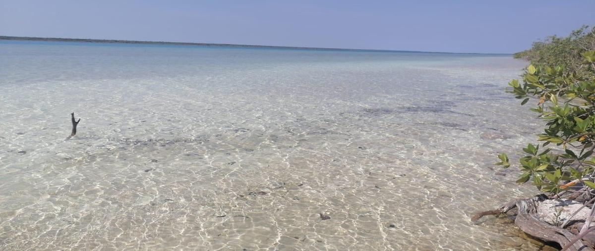 Foto de terreno habitacional en venta en  , xtomoc uno, bacalar, quintana roo, 0 No. 04