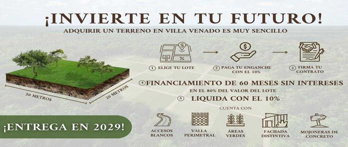 Foto de terreno habitacional en venta en  , xucu, seyé, yucatán, 28796208 No. 03